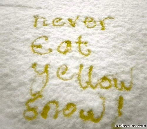 04-yellow-snow.webp