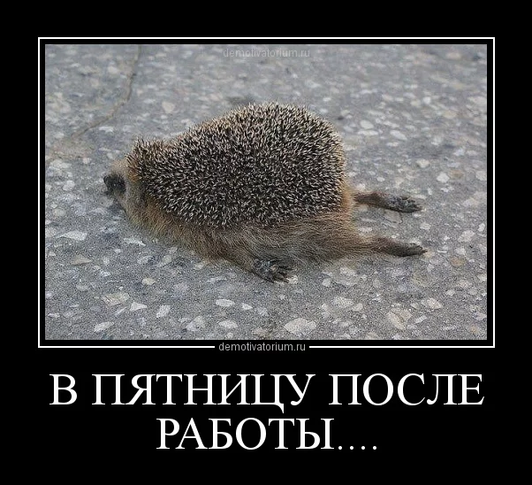 0411122230089648.webp