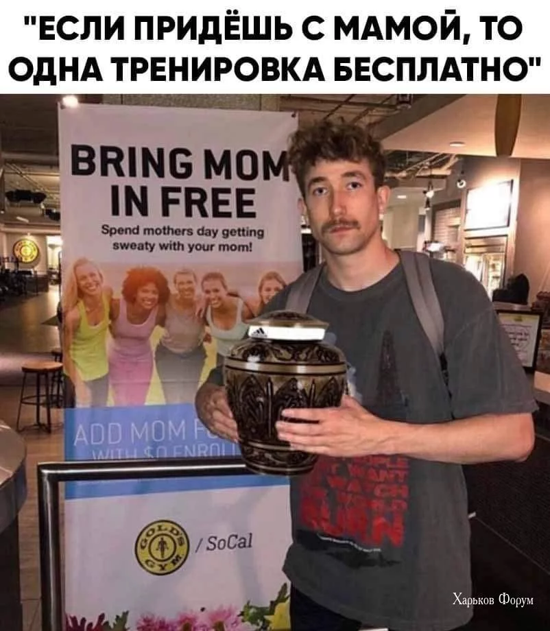 04322a03354bb1d4.webp