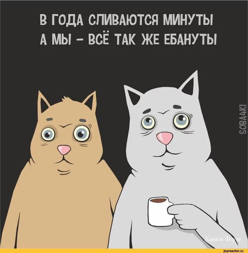 0439fc2f7ad83f5606b7a7.webp