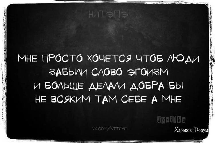 044b24c2c54491857.webp
