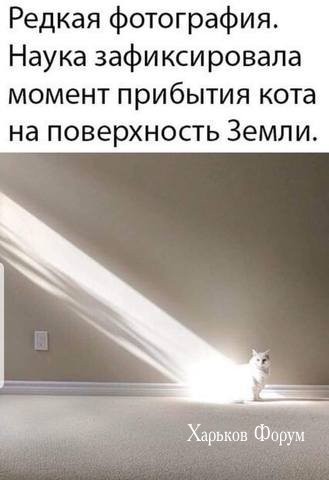 044e55c572ef3eb91a659ab.jpg