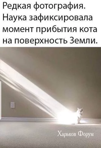 044e55c572ef3eb91a659ab.webp