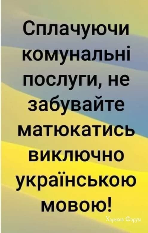 0454f6b6345b45f6d560a71.webp