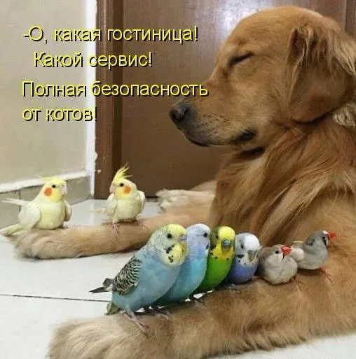 04982d2718ae92a6a9948887dfcb6cf5.webp