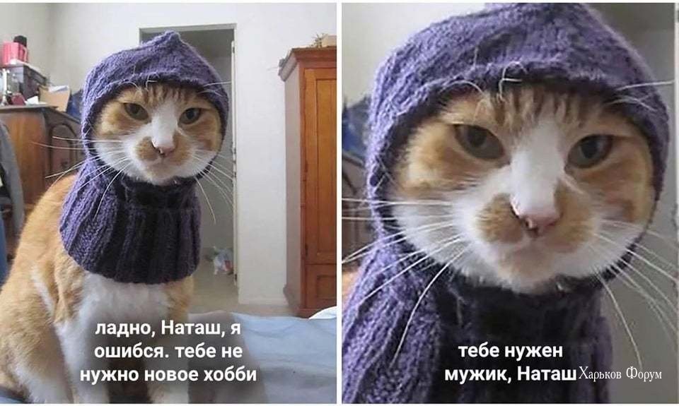 04b84785aa616c55b6ecf4ec.jpg