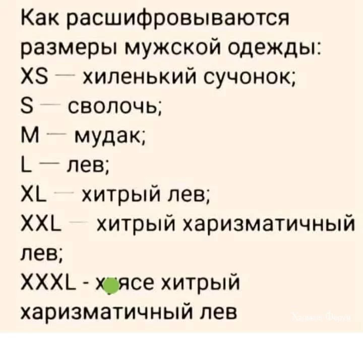 04e20960a6fac140.webp