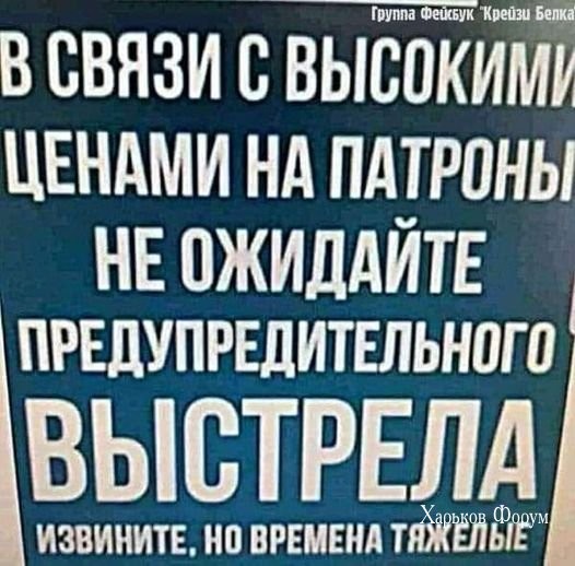 04e308b574a9787e87477.jpg