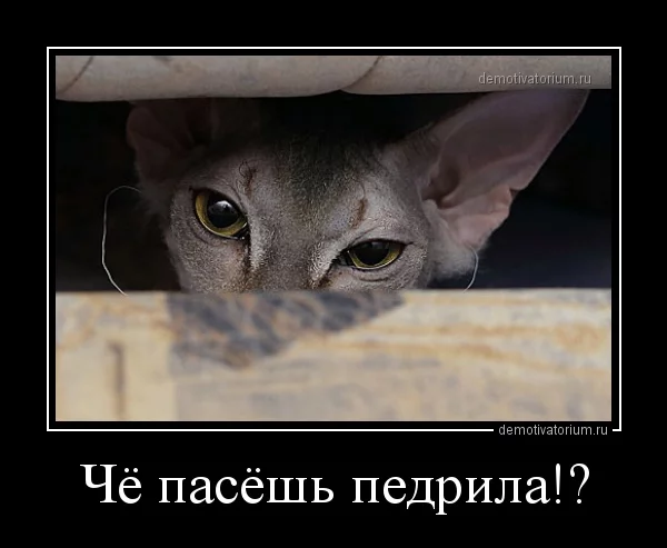 0502131523598949.webp