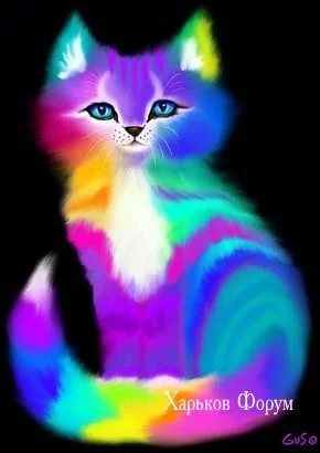 050f87de6678e46ad0c5.webp