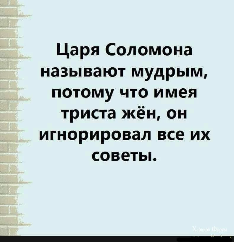 051319af226646ae.webp