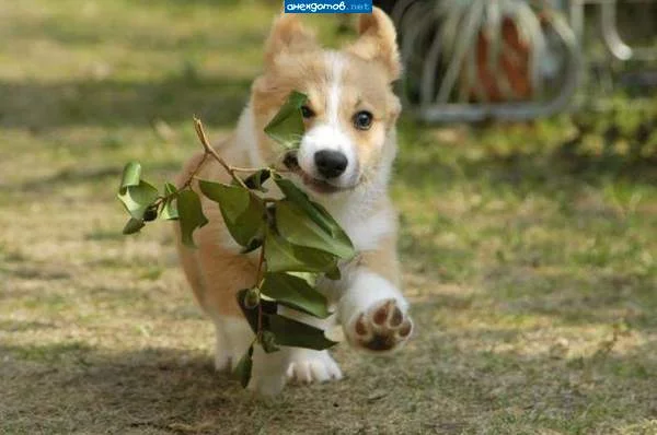 05152102z.webp