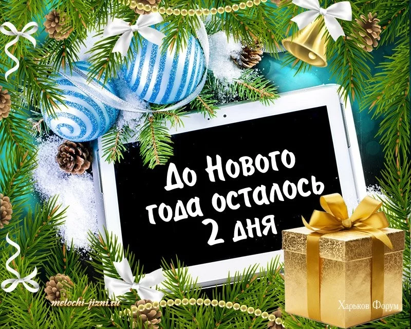 051aaa60c1e922565.webp