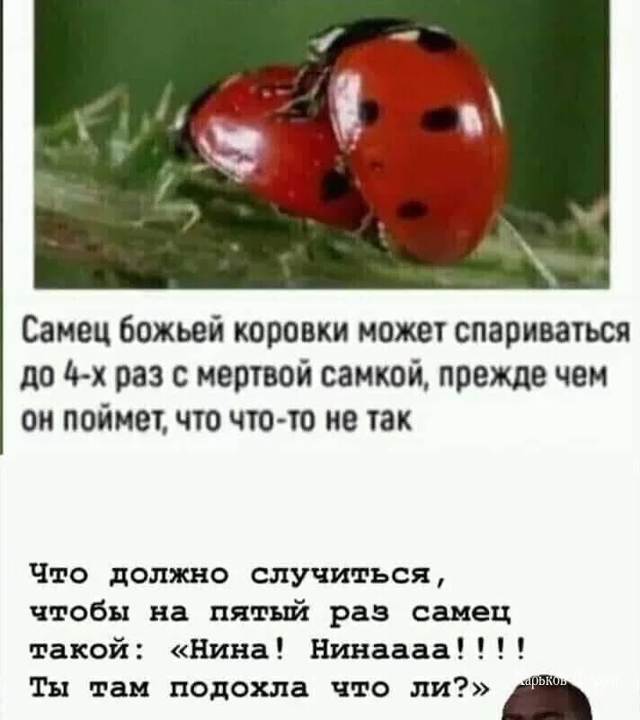 051c136d593dd869a744565.webp