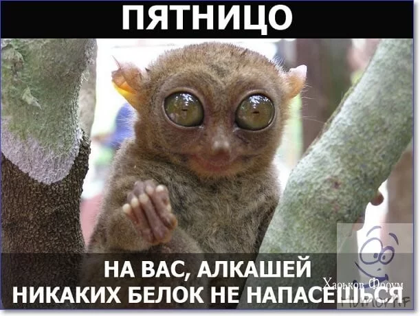 052d90bd36b59cf08e0b0c21.webp