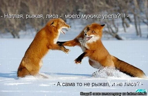 0552f094462c88556.webp