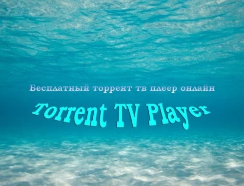 0556a5b5ab74fbb0e8ddcbe0cb124512.webp