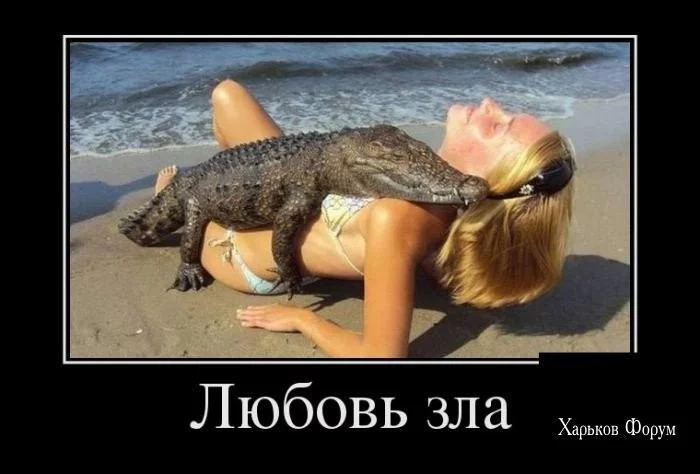 05657c0cd50a357f2e9bf.webp