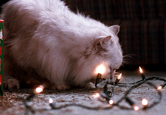 0587d37bc894ae04b953792213923314b20a8eef.gif