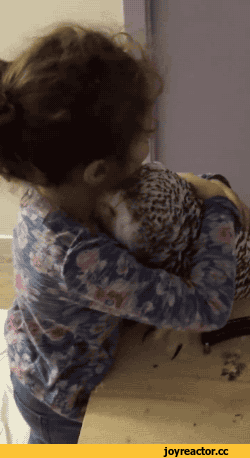 0590d5affd55924b.gif