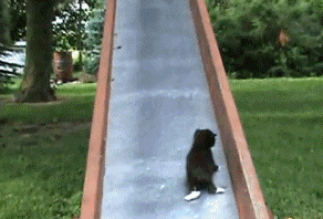 05931b47b48c92f60d.gif