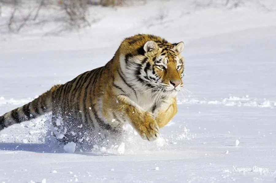 05c7230d2ef1e1e0.webp