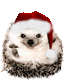 05e8b7586c445263021aa82928908911.gif
