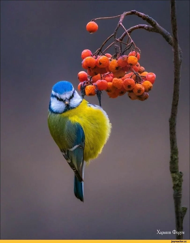 05f6b45d8a5872ab7.webp