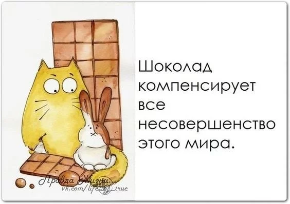 05f9ab065aa8f0631d2bfe0.webp