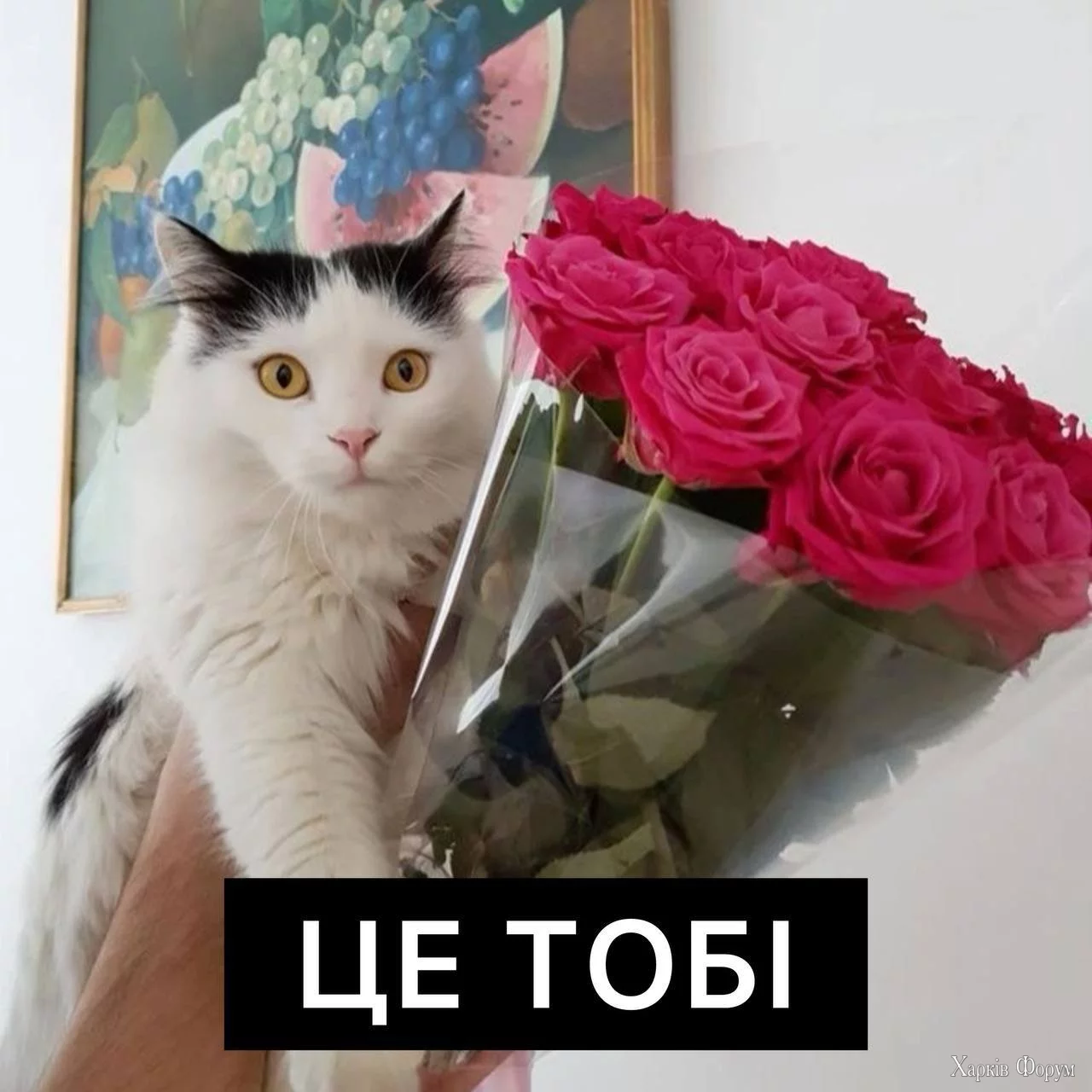 06.webp