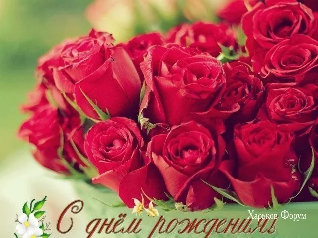 060475ec49d808a14a0b27c.webp