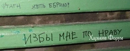 0610e36cd9bf26b4efa.webp