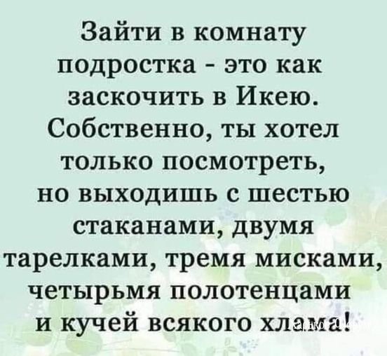 061dc0a5c6c757604a77bf.jpg