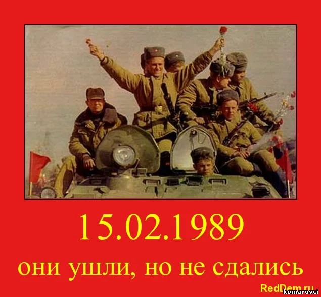06269954.webp