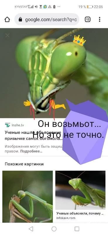 062aea4e8348710b22dedab.webp