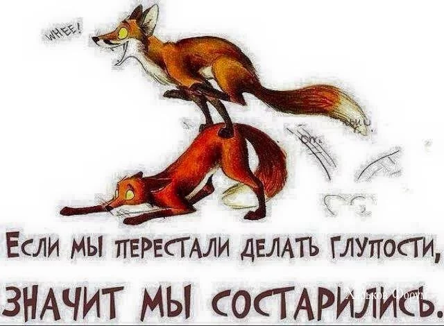 062c4c96aaba8041a5.webp