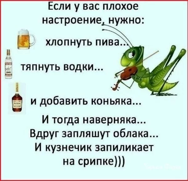 062c5451ec05aa281.webp