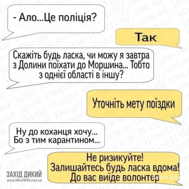 06638acd0ba7913d.webp