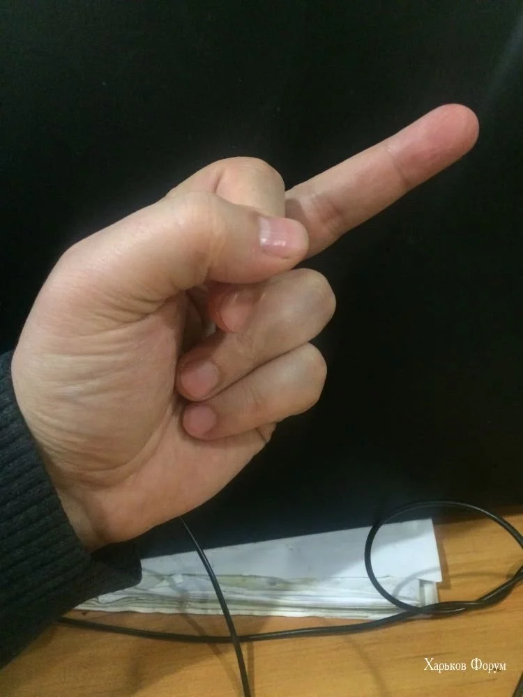 06ccb107ed667d374bce.webp