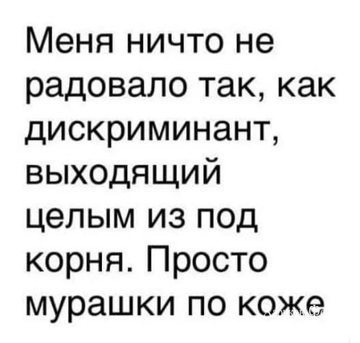 06cd4b8c38a995f0e.webp