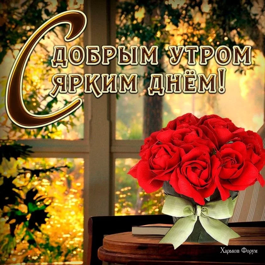 06cf1b6cc22dcc7fcd5d68b.webp