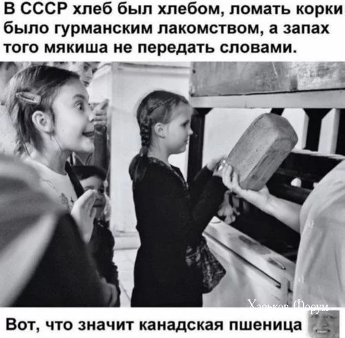 06eaf6bdac71db4b381.webp
