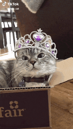 06f1d6c3903ecb36a9.gif