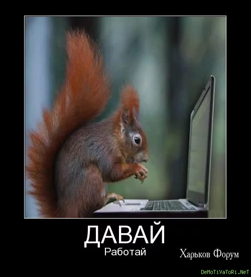 0700fabff6417ae98ef736ab.webp