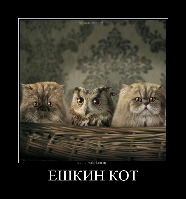 0702121856481495.webp