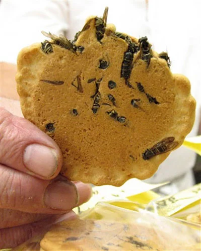 070913_cookies.webp