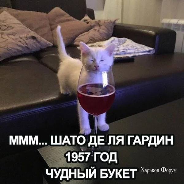 070bde2351776ee7.webp