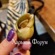 070d7b47f5d6b684eaf57a.webp