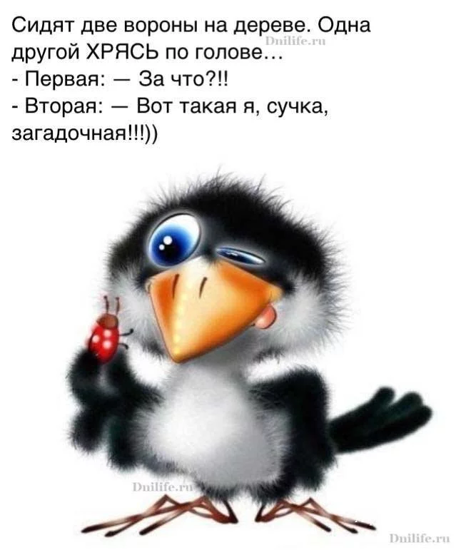072faacbb96435190b1.webp