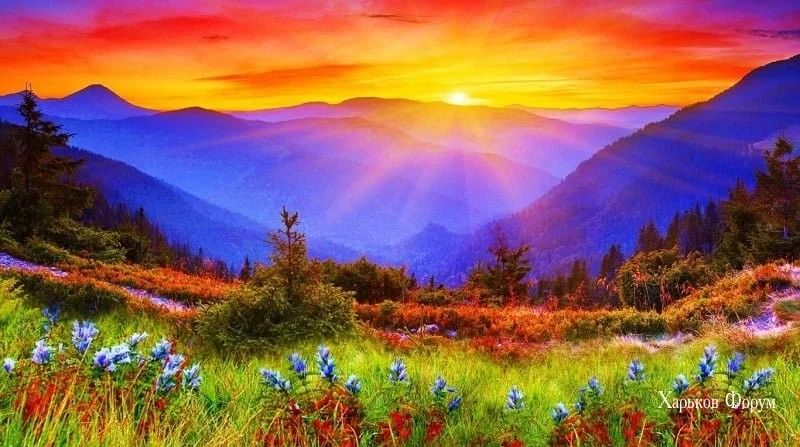 074c9df37b06134a96580b4.webp